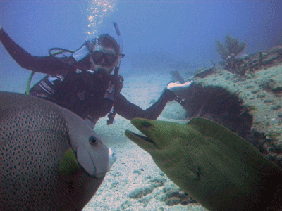 SCUBA_Diving